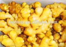  buyer  of  dry   ginger 
