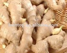 Fresh ginger with lower price