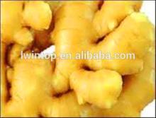 2013 New Crop Ginger Price