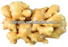 China 2013 new crop fresh ginger,air dried ginger low price