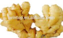 Chinese market prices for ginger