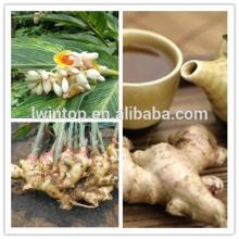 2014 natural dry fesh ginger seek for buyer