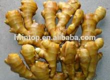 2014 New Crop Chinese Fresh Ginger