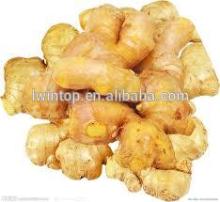 2014 fresh  air   Ginger  for sale
