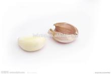 new season fresh white garlic price in china