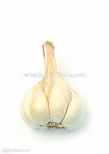 100% Natural Super White 8-16-26-40-80 Mesh Garlic  Granules 