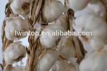 2014 china agriculture wholesale offer best quality farm fresh natural garlic