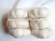 2013 New Crop Normal White Garlic 5.5cm for Sale