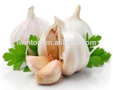 Best garlic price of 2014/Natural jinxiang garlic/Garlic price in China 2014