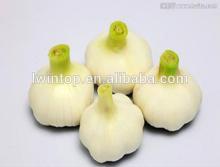 Hot Sale 2014 Fresh Garlic /White garlic/Normal white garlic