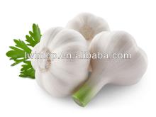 2013 fresh exotic  fruit s and  vegetable s,frozen agricultural products,wholesale red purple natural fr