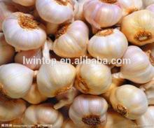 20KGS Loose Mesh Bag Package China Fresh Garlic Price