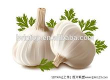 Chinese  Organic  natural Garlic