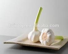 2014 Fresh Normal White Garlic