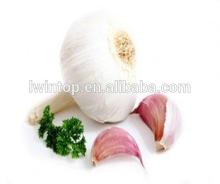 2014 crop Chinese fresh white garlic price