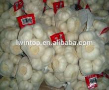 2014 Cheap Wholesale Prices!! Own Factory Production pure white garilc