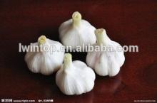Jinxiang natural  garlic  biggest supplier hot sale
