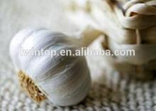 natural garlic fresh garlic 2014