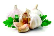 6.0 superior fresh garlic natural garlic on sale best selling products of garlic