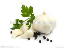 fresh natural garlic best price for hot sale