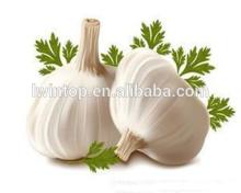 2014 chinese normal white hot fresh cracked hot garlic