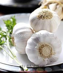 Europe Market Most Popular Chinese Fresh White Garlic 2014