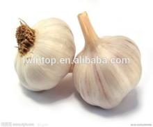 Chinese fresh garlic,2014 new crop,hot sale!!!