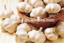 2014 new crop china farm wholesale natural garlic supplier