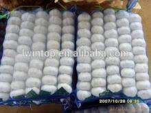 high quality fresh pure white and normal white garlic
