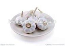 2014 China farm new crop fresh natural garlic
