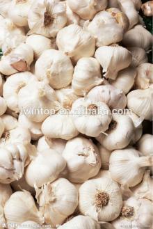Natural fresh snow white garlic by china wholesale