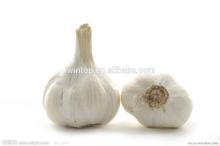 2014 new crop high quality garlic with good taste and cheaper price
