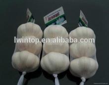 chinese fresh garlic , white fresh garlic, pure white garlic