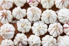 6.0cm Chinese jinxiang  garlic  2014 crop  pure  white  skin 