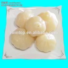 natural garlic for hot sale(B)