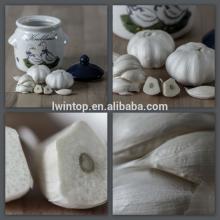 Natural Fresh Garlic New Corp For Price