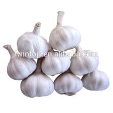 Buy direct from china factory natural garlic price