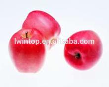 Sell Yantai Fresh Red Fuji Apple