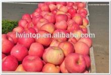 Yantai Fuji red apple with sweet taste