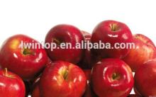 Fresh apple for sale Yantai/Shaanxi origin