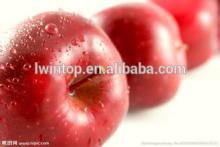 China new crop fresh red fuji apple 80-100