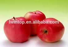 2014 new crop china red fuji apple hot selling for india market
