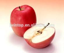 wholesale prices apple fruit Fuji red apple