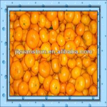 Nanfeng baby juicy orange