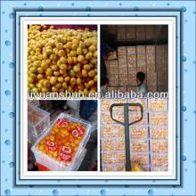 Fresh Nanfeng baby mandarin