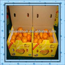 Fresh Juicy  Nanfeng   mandarin 
