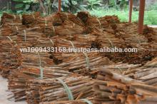 Vietnam Cinnamon