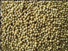  Vietnam   White   Pepper 
