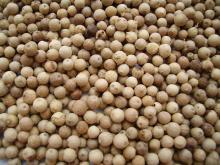 White Pepper