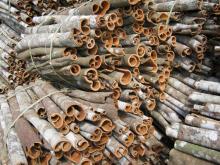 Vietnam Split Cinnamon